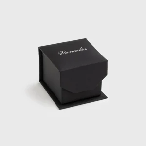 Vanadis Smyckesask, Liten, Silver logotyp